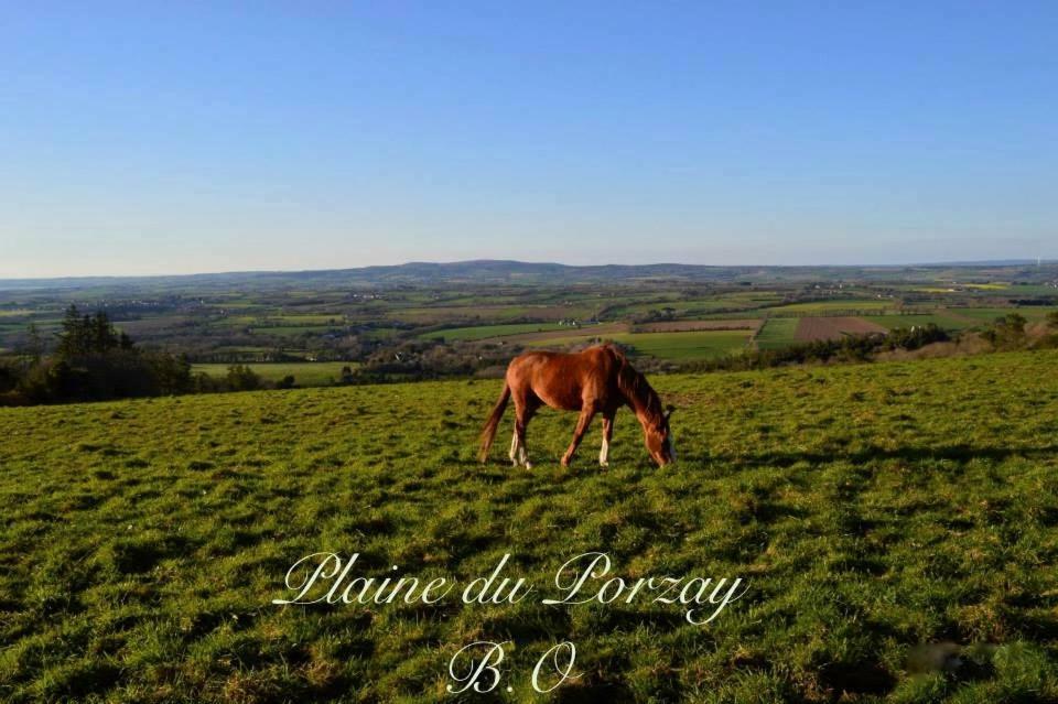 Le Clos Des Agapanthes Plogonnec Buitenkant foto